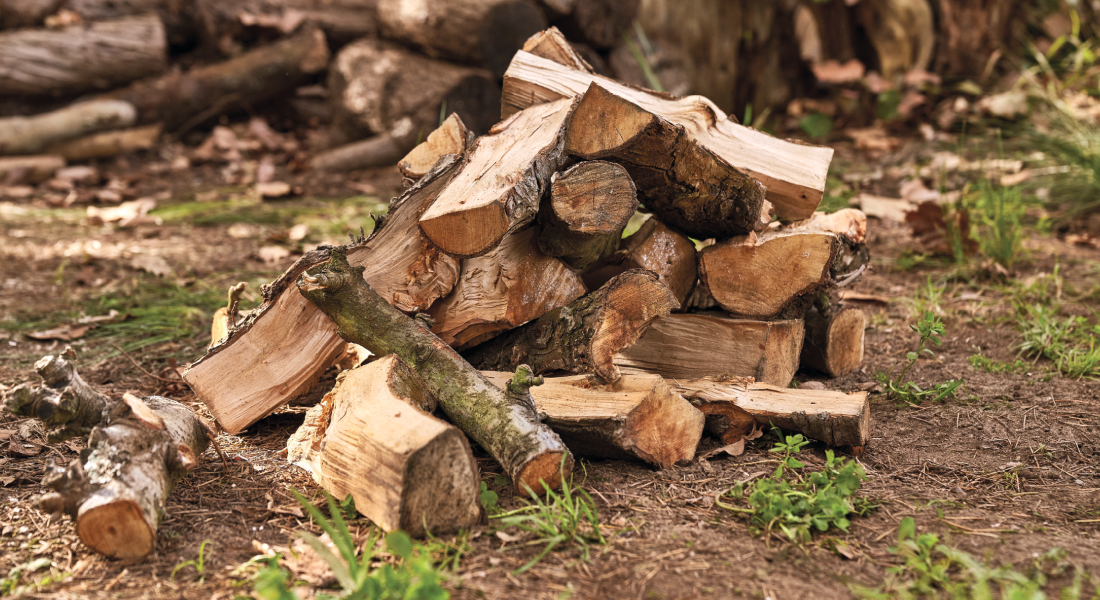 La importancia de la leña